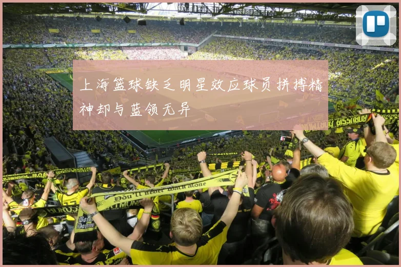 上海篮球缺乏明星效应球员拼搏精神却与蓝领无异